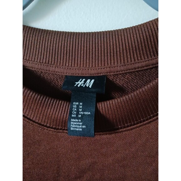 H&M Sweatshirt Pullover Mens Embroidered Crew Neck Long Sleeve Brown Size M - Picture 3 of 7
